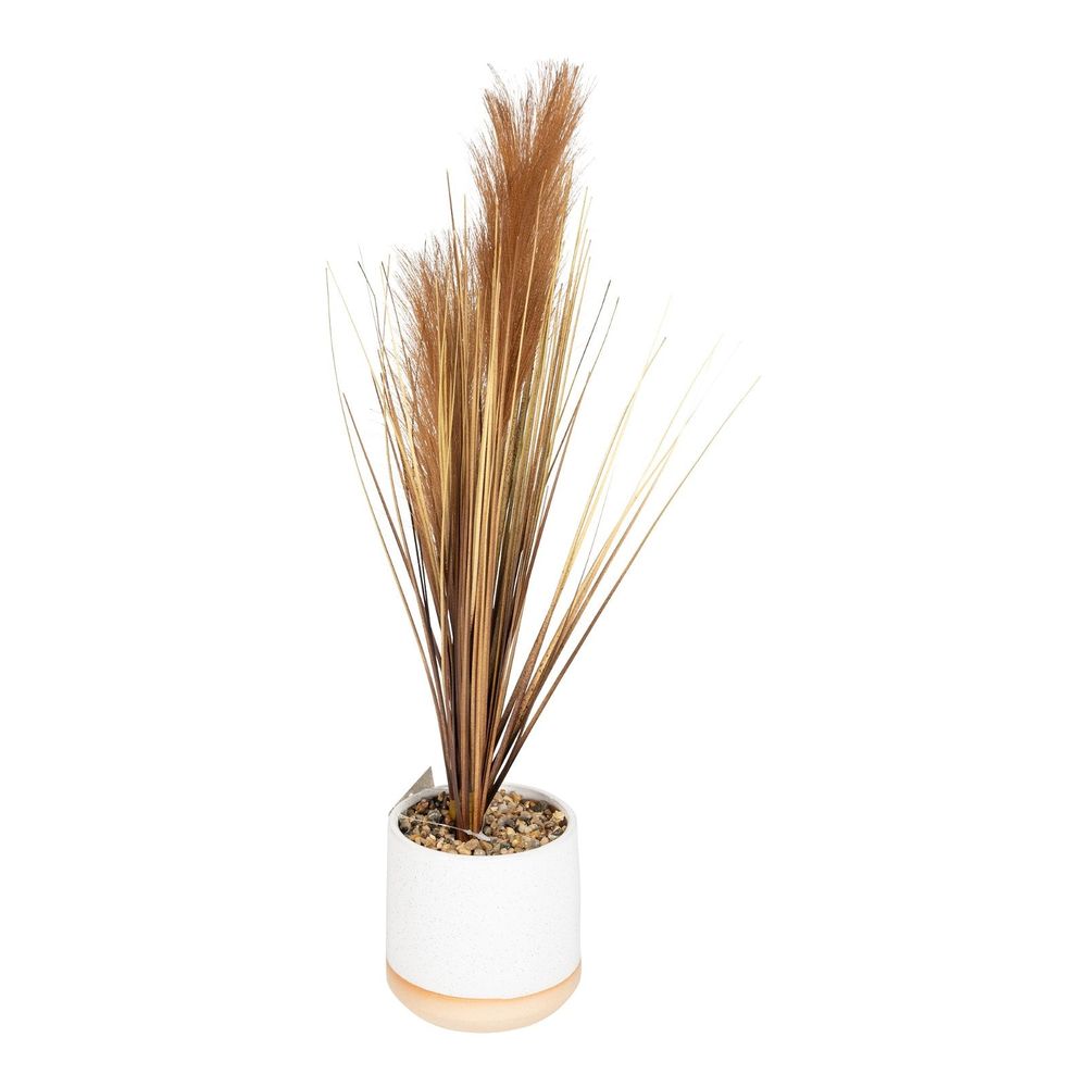 Artificial Faux Grasses In a White Pot With Brown Feathers - 50cm