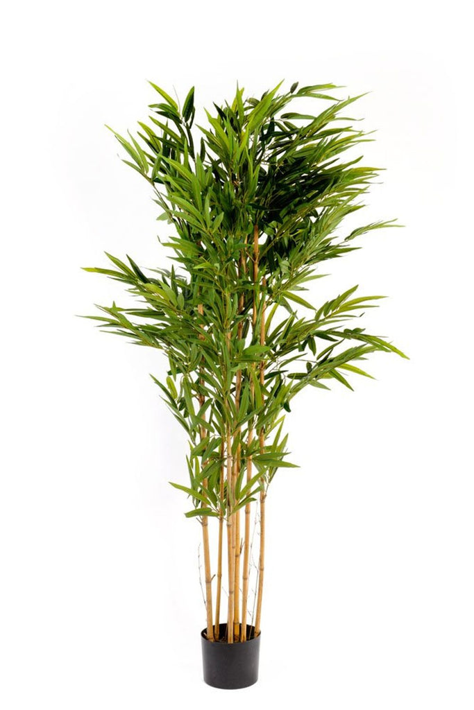 Artificial 6 foot tall Bamboo tree