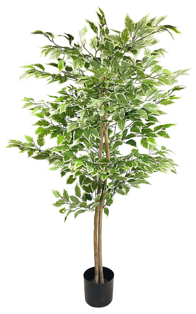 Artificial Ficus Tree With Variegation Leaves - 150cm