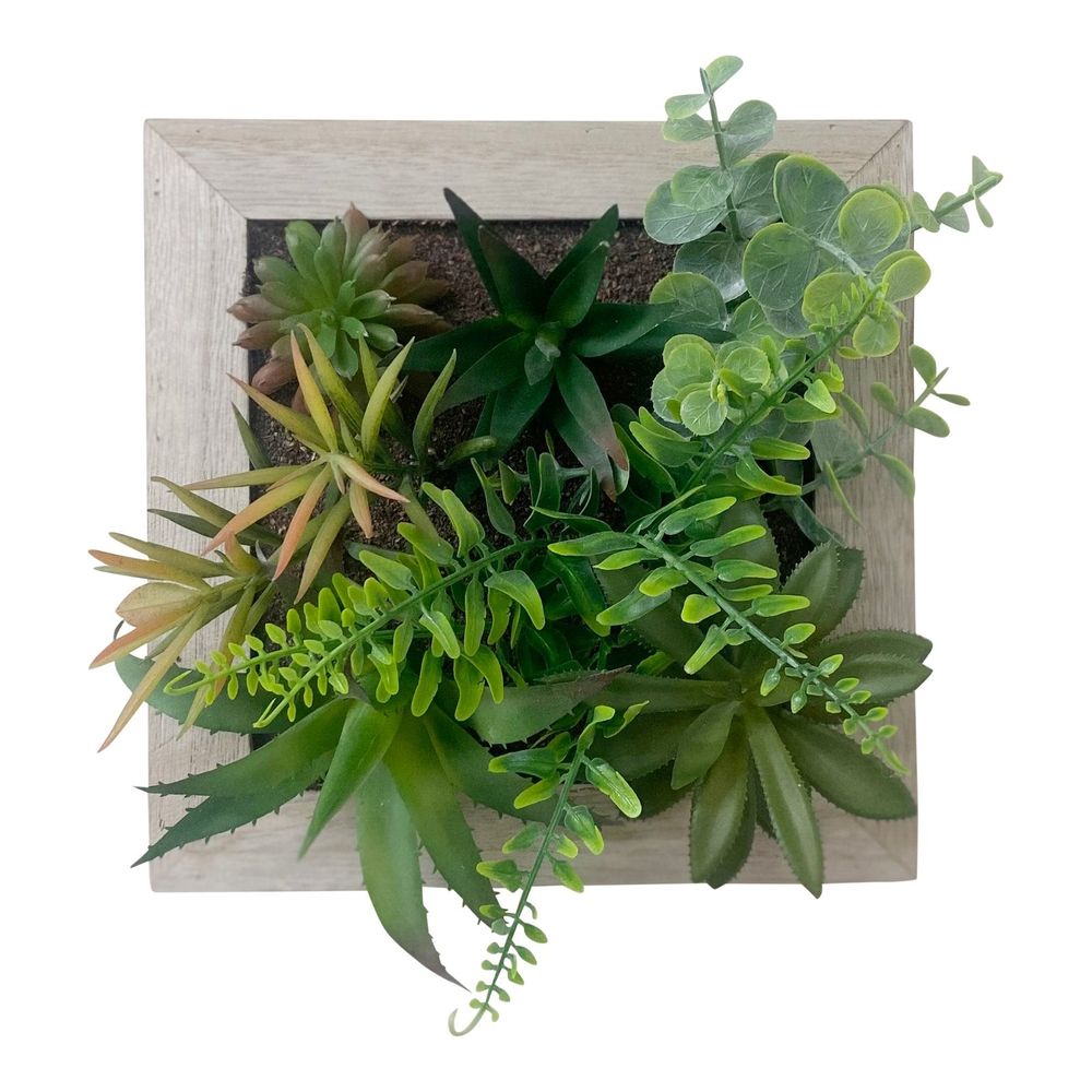 Artificial Succulents In Square Wooden Frame